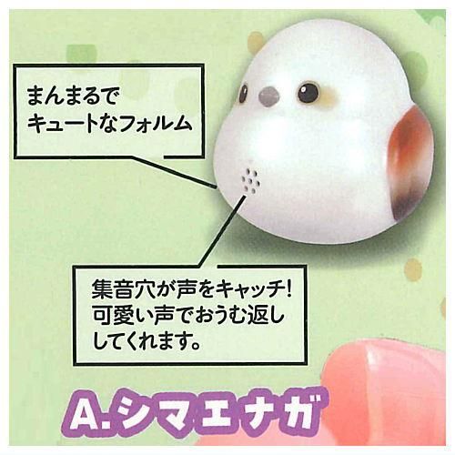 本日のタイムセール - ホットプレート / ホット ものまね大好き!まねっこてのりどりマスコット [1.シマエナガ のり・接着剤