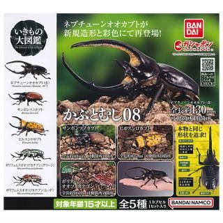 ·äƤޤ!!ۤ޴ ֤Ȥष08 [5糧å(ե륳)] ͥݥԲ 