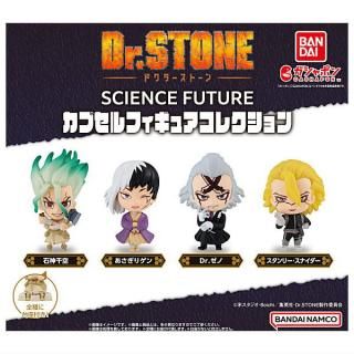 ·äƤޤ!!Dr.STONE SCIENCE FUTURE ץե奢쥯 [4糧å(ե륳)]ڥͥݥбۡC