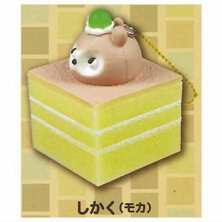 ̤ޥå3 [5.(⥫)] ͥݥԲ ۡC