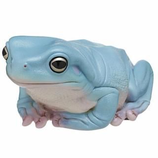 �ͥ����㡼�ƥ��˥��顼 �礭�ʥ������ᥬ���� [3.�Ŀ�]�� �ͥ��ݥ��Բ� ��