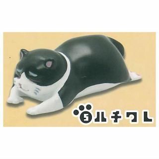 ��������ǭ [5.�ϥ����]�ڥͥ��ݥ������б��ۡ�C��