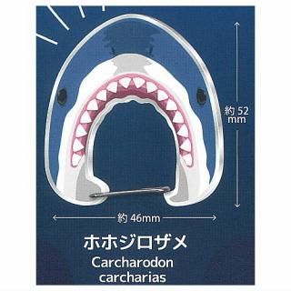 ṥΥӥ [2.ۥ]ڥͥݥбۡC