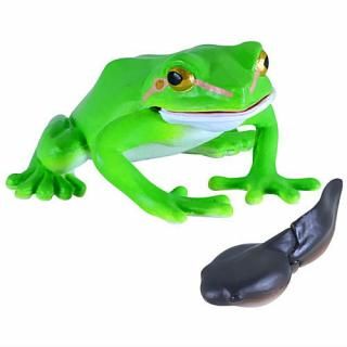 �����٤���ʪ�ե����奢���꡼�� �ߤ��٤Τʤ��� �����ˤ��Ĥޤ졪 [1.���ޥ�����+�����ޥ��㥯��]�ڥͥ��ݥ������б��ۡ�C��