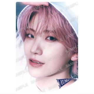 ��TEAM �ĥ��󥦥��ϡ��� [14.YUMA(����ǥ����󥷡���)]�ڥͥ��ݥ������б��ۡ�C��