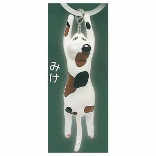 äפˤ ᤸ뤷㡼 [3.ߤ]ڥͥݥбۡC