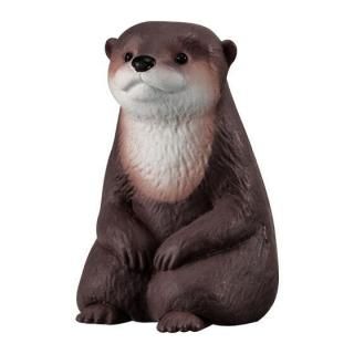 �ޤ��ܤ���13 [2.���復��]�ڥͥ��ݥ������б��ۡ�C��