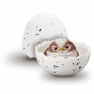 �ƤΤ�٥��ӡ��ե�� Ļ [3.���ޥ��ʥ� �٥��ӡ�]�� �ͥ��ݥ��Բ� ��