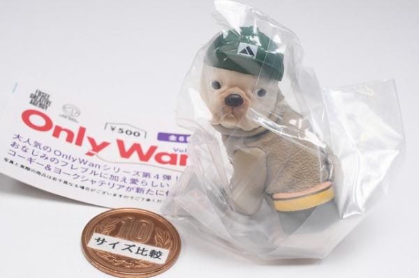 Only Wan オンリーワン！ Vol 04 [4.レイ Ray (フレンチ