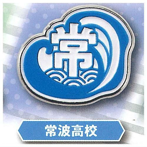 ハイキュー　ピンバッジ　プレゼントキャンペーン　ファミリーマート　当選A賞　レア ハイキュー!! × ファミリーマート全国 夏を楽しむキャンペーン 8