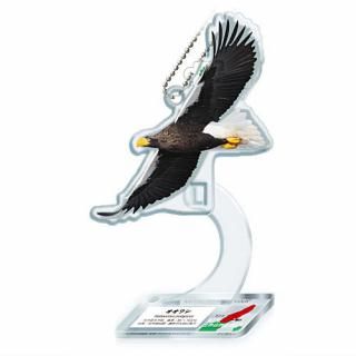 ͥ㡼ƥ˥顼 仺 ξ ޥå [7.亮]ڥͥݥбۡC