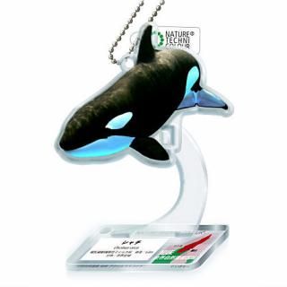 ͥ㡼ƥ˥顼 仺 ξ ޥå [8.]ڥͥݥбۡC