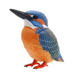 Nature of Japan ���ܤΤ������01 [4.���糧��]�� �ͥ��ݥ��Բ� ��