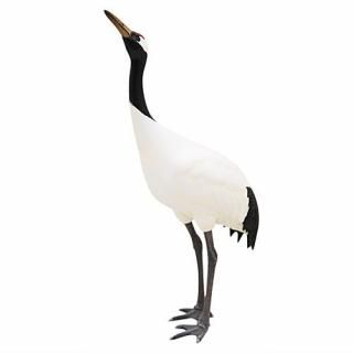 Nature of Japan ܤΤ01 [5.祦] ͥݥԲ 