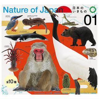 全部揃ってます!!】Nature of Japan 日本のいきもの02 [全10種