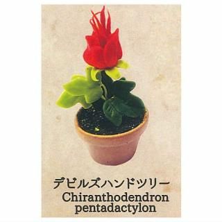 �����δ�̯�ʿ�ʪ���� [7.�ǥӥ륺�ϥ�ɥĥ꡼]�� �ͥ��ݥ��Բ� �ۡ�C��