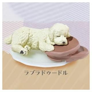 ���䤹�ߤä���2 [2.��֥�ɥ����ɥ�]�� �ͥ��ݥ��Բ� ��