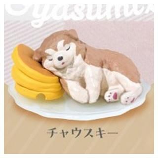 ���䤹�ߤä���2 [4.���㥦������]�� �ͥ��ݥ��Բ� ��