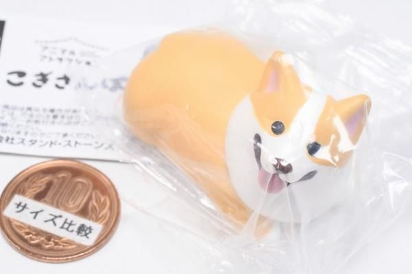 アニマルアトラクション こぎさんぽ [1.くつろぐコーギー