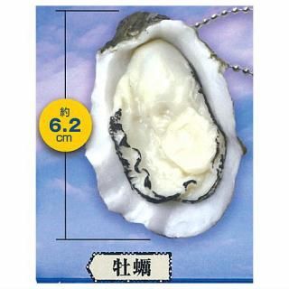 ���ι����ι��ܡ���������󤳤줯����� [4.����]�ڥͥ��ݥ������б��ۡ�C��