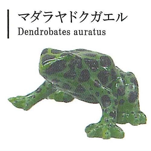 日本水族館立体生物図録4
