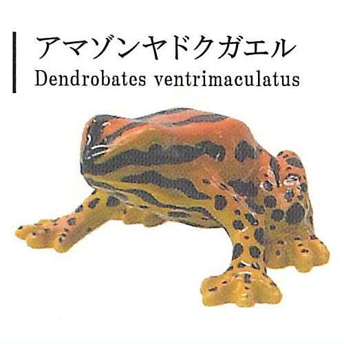 ネットオフ 送料得店  ヤドクガエルの世界 [5.アマゾンヤドクガエル],レインボー Vol.1 おもちゃ雑貨・手品