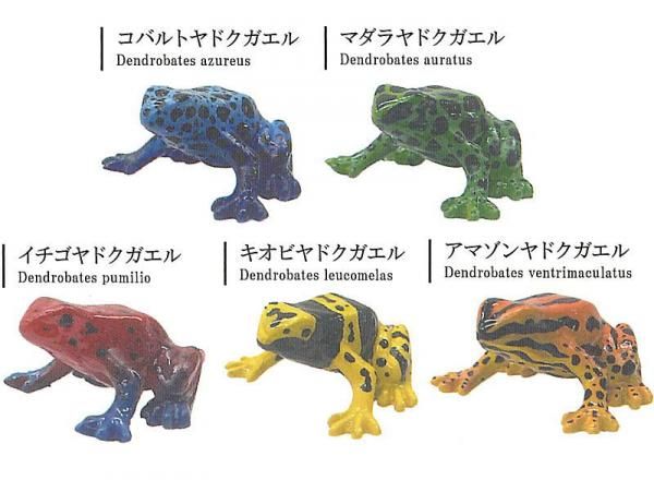 華麗 全部揃ってます!!】ヤドクガエルの世界 Vol.1 [全5種セット おもちゃ雑貨・手品