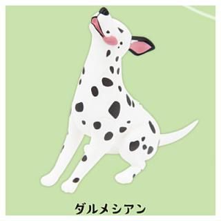 ˤ餱ޥåȥե奢 3 [1.᥷] ͥݥԲ ۡC