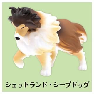 ���ˤ��餱�����ޥ����åȥե����奢 3 [2.�����åȥ��ɡ������ץɥå�]�ڥͥ��ݥ������б��ۡ�C��