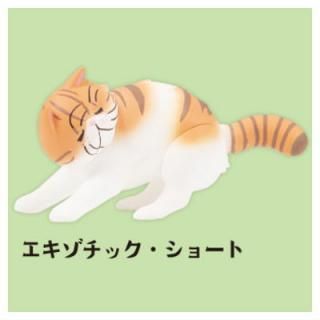 ˤ餱ޥåȥե奢 3 [4.å硼ȥإ]ڥͥݥбۡC