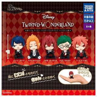 送料無料】【全部揃ってます!!】IVE FROM STARSHIP 送料無料】【全部揃ってます!!】IVE FROM STARSHIP