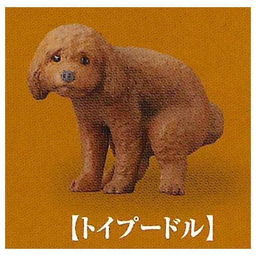 セール(SALE)開催中！ファッション通販 ふんばり～ぬ(再販) [3.トイプードル],タカラトミーアーツ おもちゃ雑貨・手品