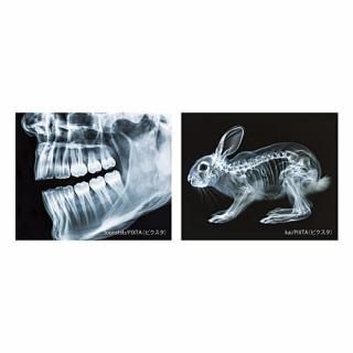 ȥ饤 [3.C]ڥͥݥбۡC