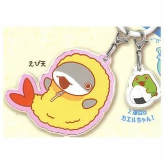 ���Ǥ����ҥ��� �ᤸ�뤷2Ϣ���㡼�� [1.���ӤƤ�]�ڥͥ��ݥ������б��ۡ�C��