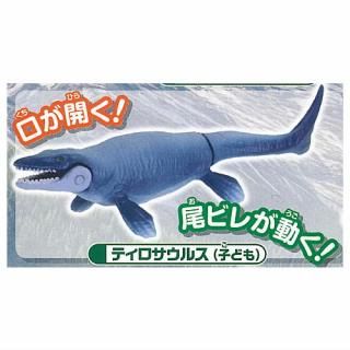 ���ץ��륢�˥� ��ε�ȸ�����ʪ�罸�� ������ [4.�ƥ��������륹(�Ҥɤ�)]�ڥͥ��ݥ������б��ۡ�C��