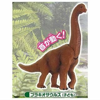 ���ץ��륢�˥� ��ε�ȸ�����ʪ�罸�� ������ [5.�֥饭�������륹(�Ҥɤ�)]�ڥͥ��ݥ������б��ۡ�C��