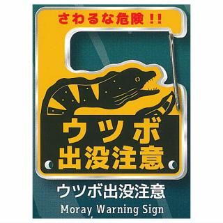 ĥܤΥӥ [3.ĥܽ]ڥͥݥбۡC