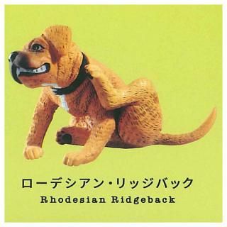   [5.ǥ󡦥åХå] ͥݥԲ ۡC