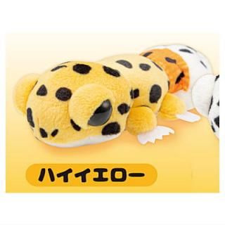 �쥪�ѤΤ̤������ [1.�ϥ���������]�ڥͥ��ݥ������б��ۡ�C��