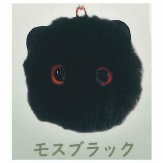 Mossfur �⥹�ե��� [9.�⥹�֥�å�]�� �ͥ��ݥ��Բ� �ۡ�C��