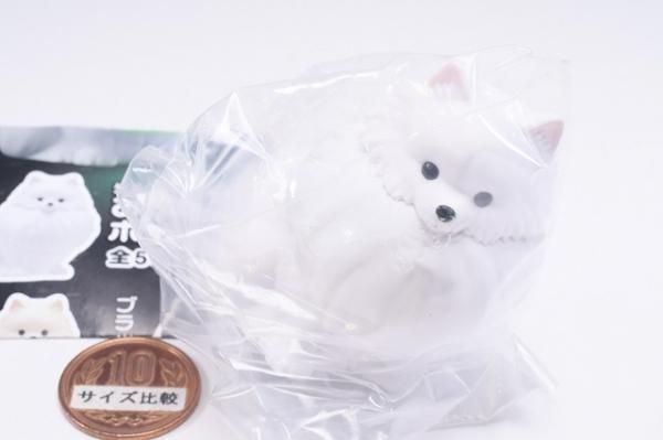 光る首輪をつけた おさんぽポメライト [1.ホワイト ],キタン