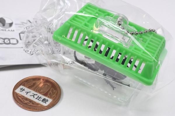 専用です！　こちらと虫かごセットおまとめ Amazon | Jinmoioy 虫かご カブトムシ 幼虫 飼育ケース 緑色