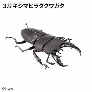 ϥ󥿡 ֥ȥॷߥ塞 2025 [3.ޥҥ饿塞] ͥݥԲ 