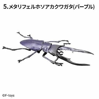 ϥ󥿡 ֥ȥॷߥ塞 2025 [5.᥿եۥ塞(ѡץ)] ͥݥԲ 