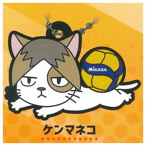 ハイキュー!!×MIKASA キャララバーコレクション2 [5.ケンマネコ