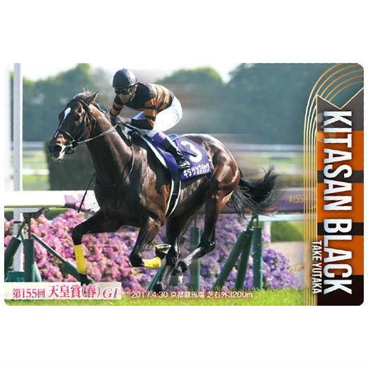 アイドルホース【キタサンブラック/有馬記念】(Lサイズ