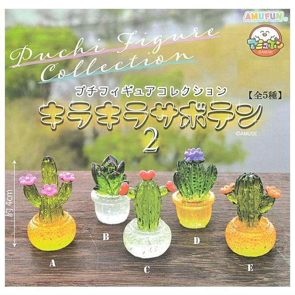 サボテン　セット　写真のもの全て サボテン セット 写真のもの全て