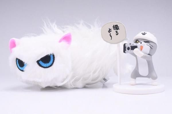 ゲリラセール　なつかない猫　せこなお　ぬいぐるみ Amazon.co.jp: せこなお なつかない猫 ぬいぐるみ : おもちゃ
