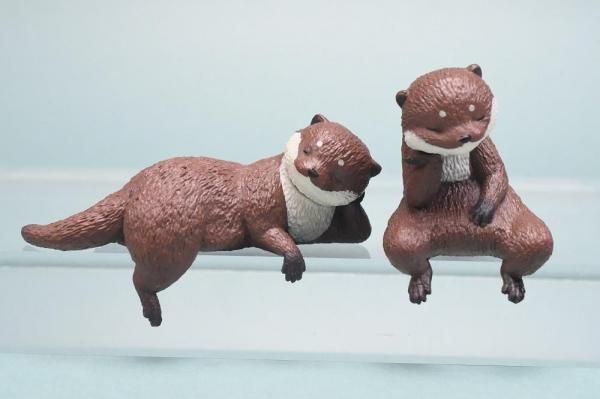 かわうそ　5枚 エール ふちやすみ コツメカワウソ 全5種フルセット
