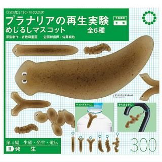 マンガ倉庫日向店アミューズ on X: 